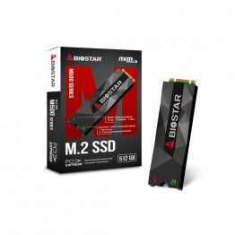 SSD Biostar M500, 512 GB, M.2, PCI Express Gen 3
